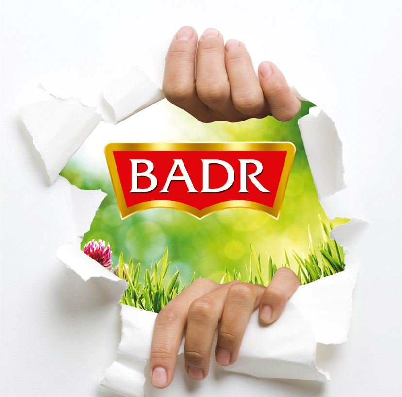 badr